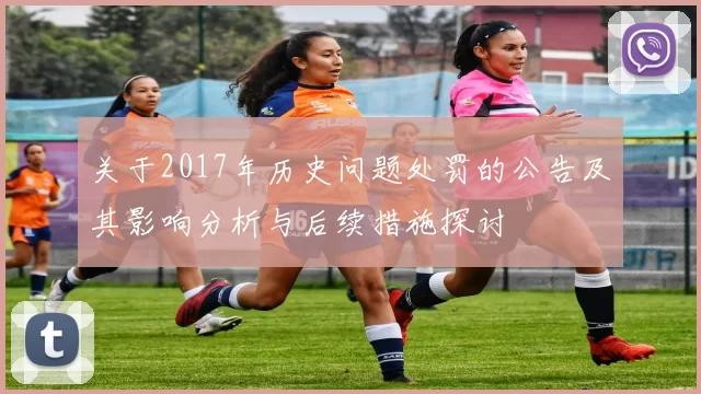 关于2017年历史问题处罚的公告及其影响分析与后续措施探讨